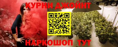 шишки Аргун