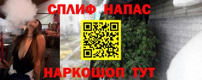 шишки Аргун