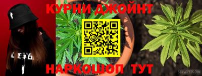шишки Аргун