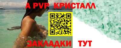 прущие грибы Бийск