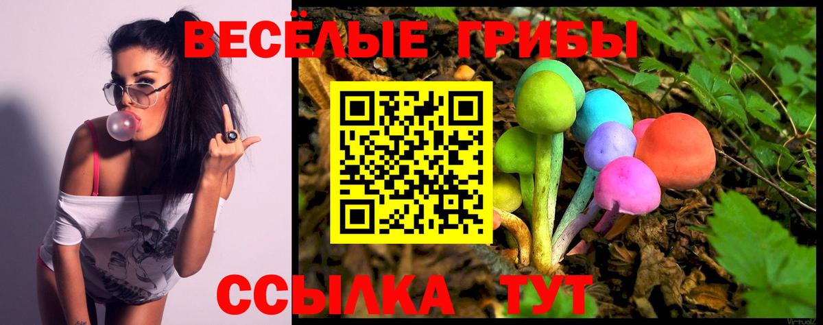 Галлюциногенные грибы мицелий  наркота  Вход с VPN  Артём  Галлюциногенные грибы Psilocybe 
